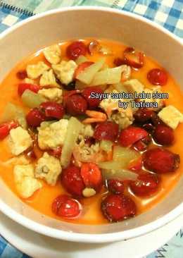 SAYUR SANTAN labu siam