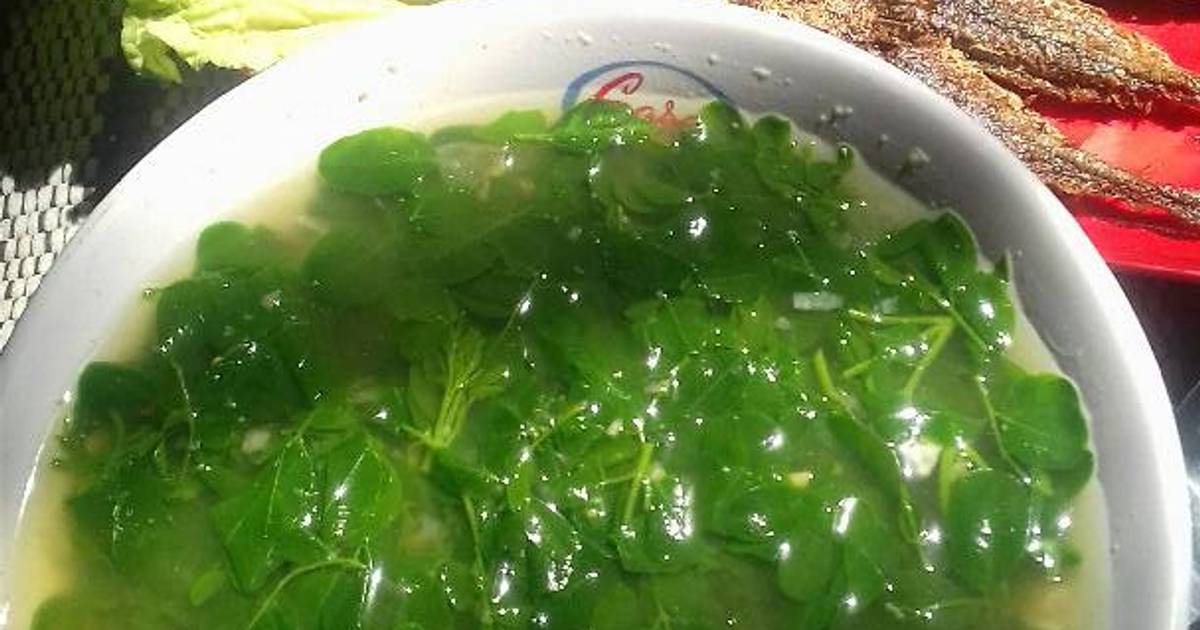 126 resep olahan daun kelor enak dan sederhana - Cookpad