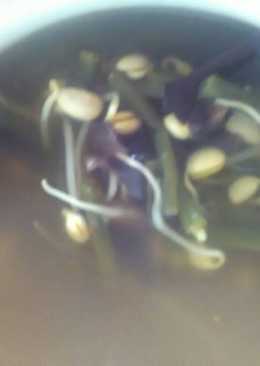 Sayur asem kacang panjang toge kedelai