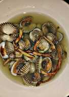 Kerang rebus