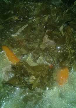 Oblok-Oblok Daun Singkong