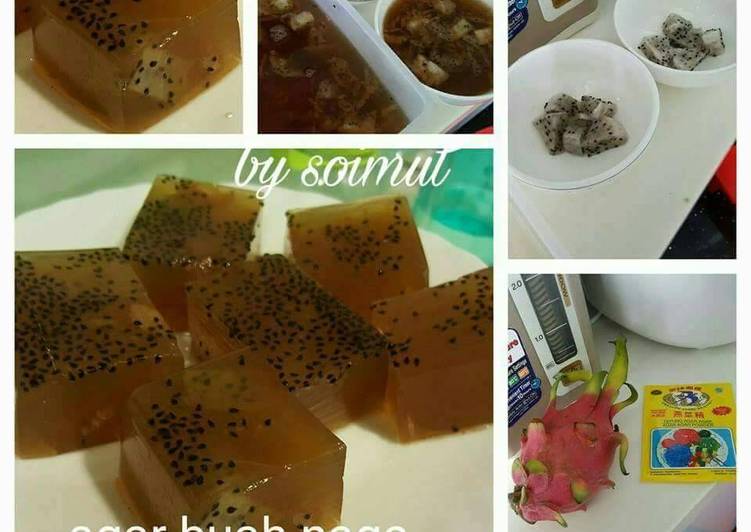 Resep Puding buah naga gula merah Karya Siti soimah