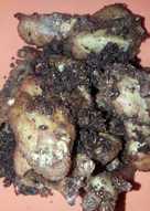 Ayam Goreng rempah #BikinRamadanBerkesan