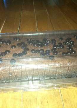 Brownis ala mak arsya