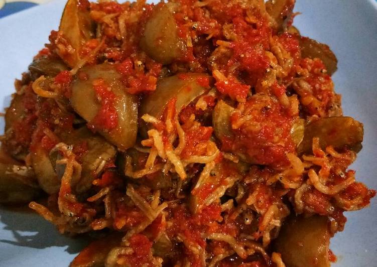 resep Sambal goreng teri jengkol