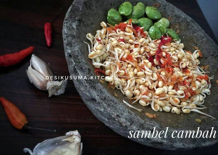 bahan dan cara membuat Sambal cambah bumbu kencur