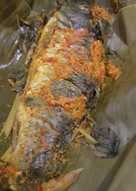 Pepes Ikan Mas Mm YKR