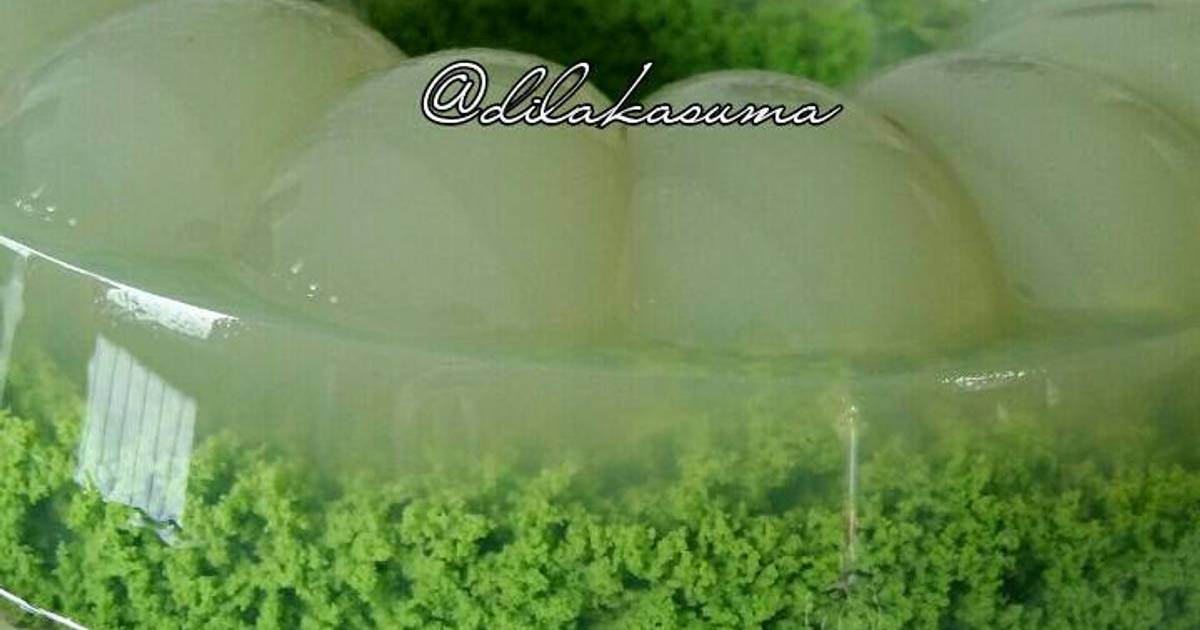  Resep  Puding  lumut  resep  1 agar oleh Dila Kasuma Cookpad