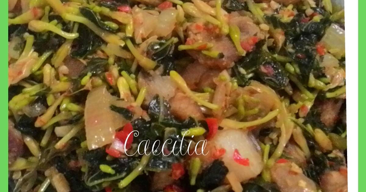 Resep Bunga  Daun Pepaya  Rica B2 oleh Caecilia Cookpad