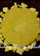 Puding Mangga Muda