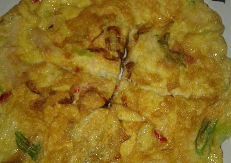  Resep  Telur  dadar ayam  suirr sederhana oleh Neng Nian 