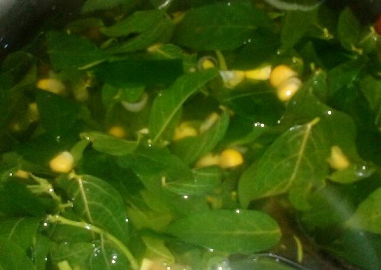 Bening katuk jagung