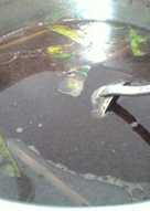 Rawon daging sapi + sayur