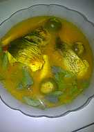 Gulai Tempoyak khas Sumatera Selatan