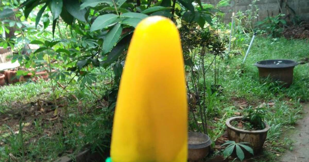 Resep ♥TriPel Popsicle♥