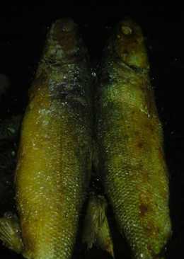 Ikan bandeng goreng krenyes