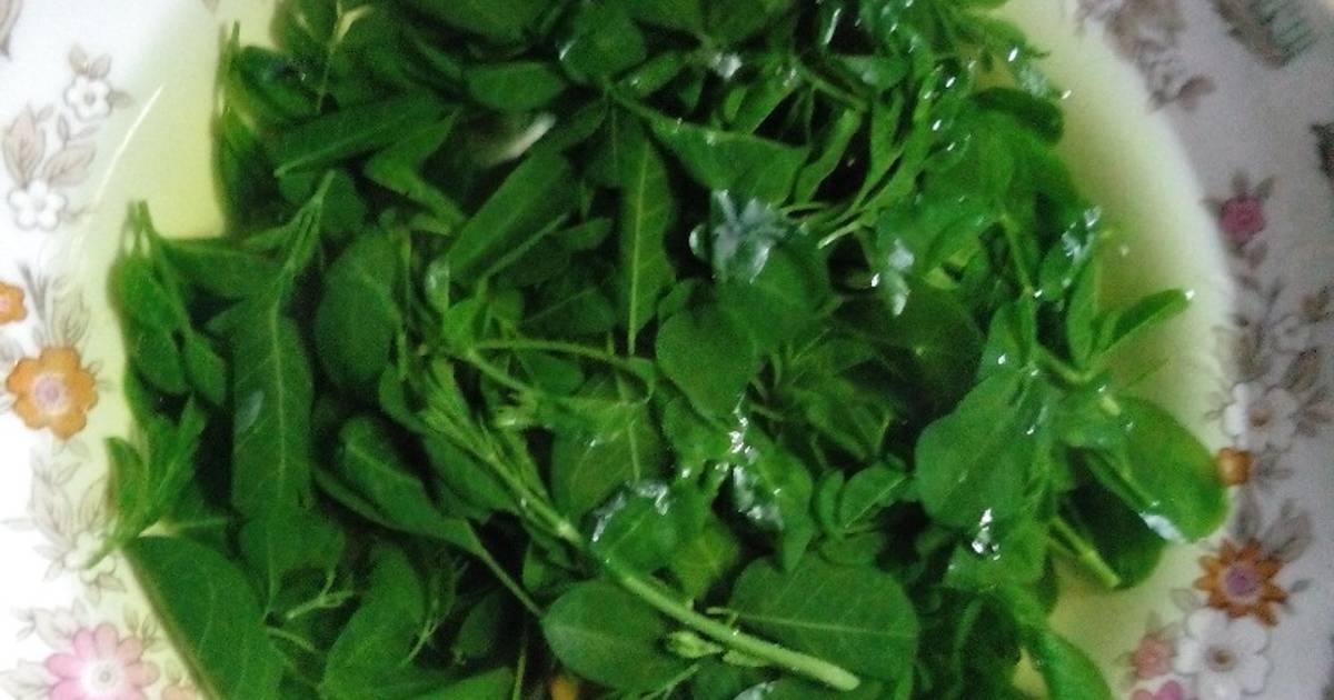 140 resep olahan daun kelor enak dan sederhana - Cookpad