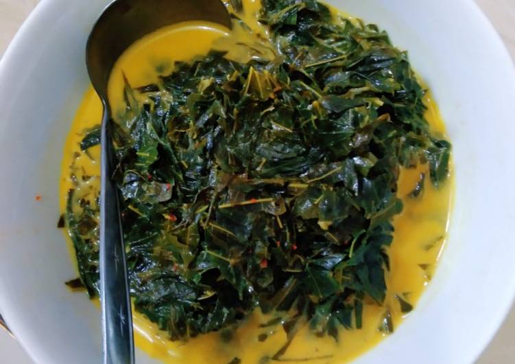  Resep Sayur Daun Singkong Santan 