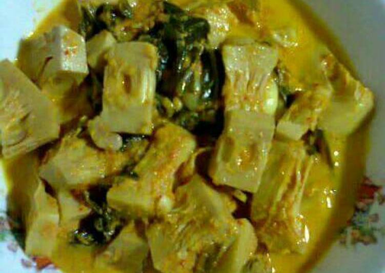 cara membuat Gulai cubadak(nangka) & tips