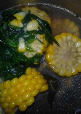 Jagung manis katuk