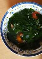 Sayur Daun Katuk