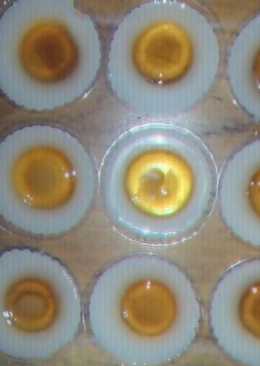 Agar-Agar Telur Ceplok