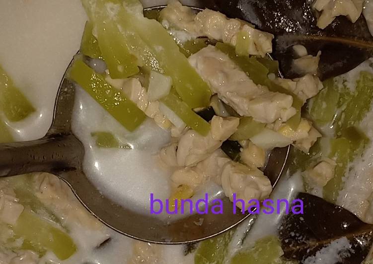 resep masakan Lodeh Labu Siam Tempe