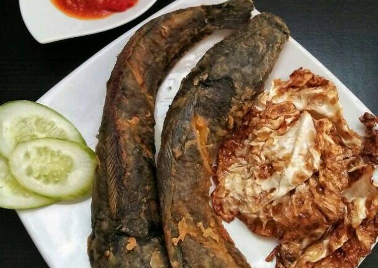 Resep Lele  Goreng  Tepung oleh familahaq Cookpad