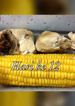 Resep diet mayo hari ke 12