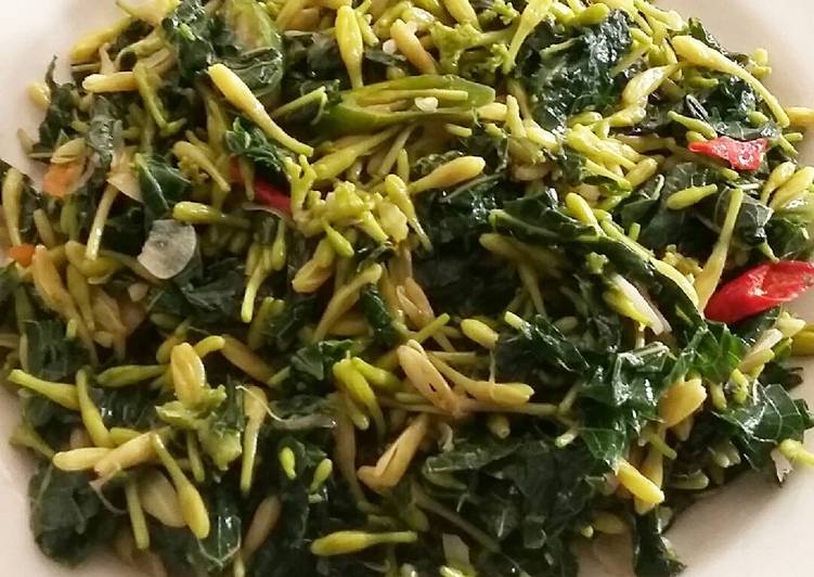 resep Oseng Daun Pepaya Dan Bunga Pepaya