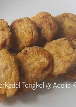 Perkedel Tongkol