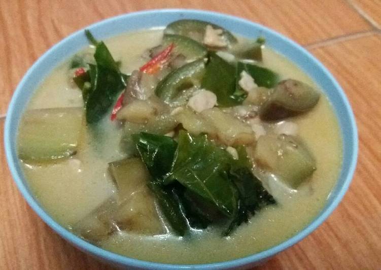 resep lengkap untuk Sayur Lodeh Terong