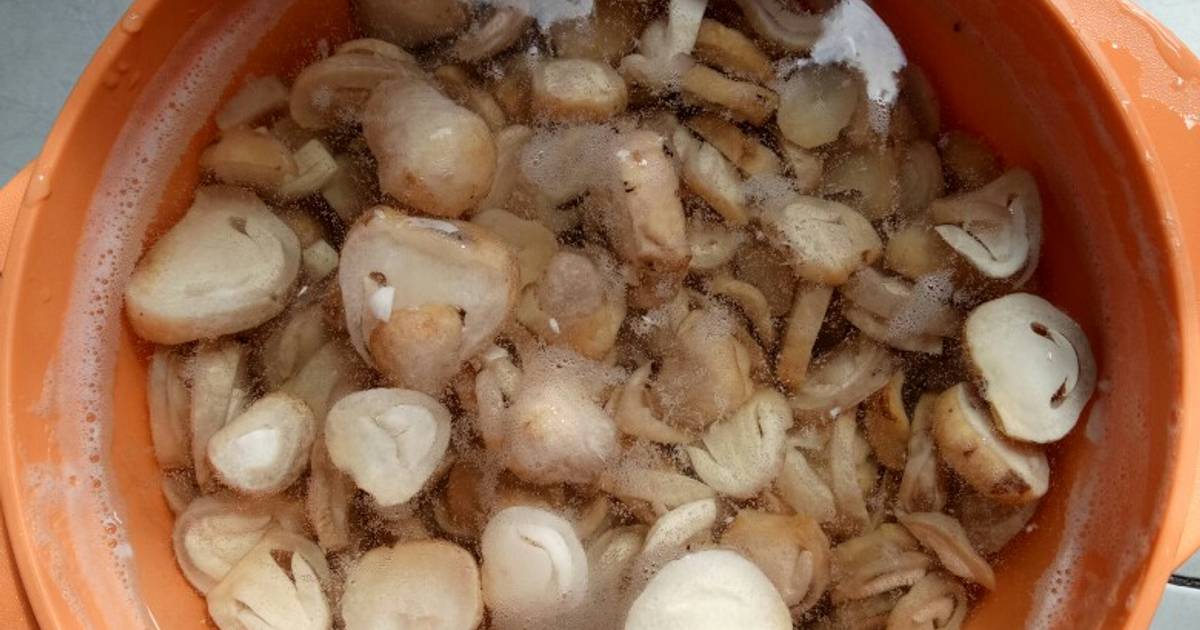 6 031 resep  jamur  champignon  enak dan sederhana Cookpad