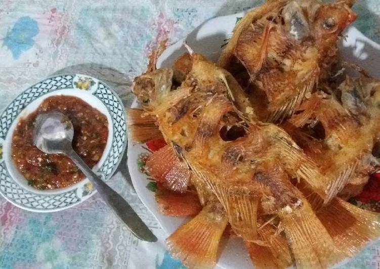 resep masakan Nila Goreng Sambel Terasi Lombok Ijo