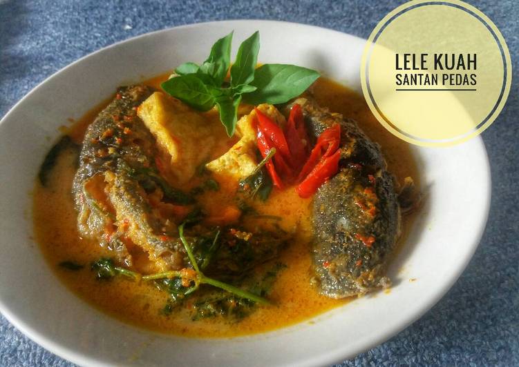 Resep Lele kuah santan pedas Karya Bundanya Aka