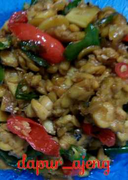 Oseng tempe lombok ijo ala ndeso