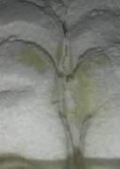 Putri salju 'sederhana'