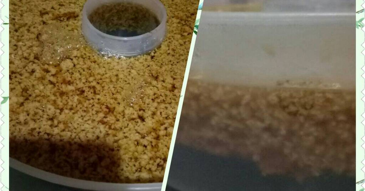  Resep Puding lumut gula aren  oleh Tuty Handayani Cookpad