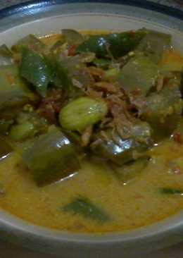 Lodeh terong ala mak rempong