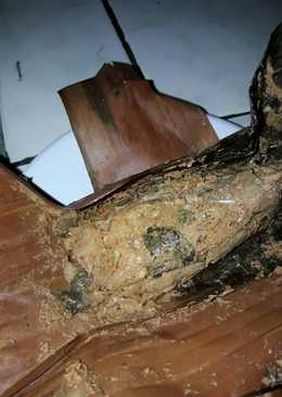 Pepes ikan teri basah tanpa duri