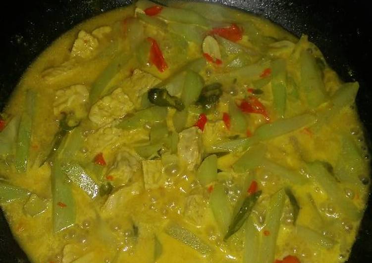 cara membuat Sayur Lodeh Labu siam & Tempe Simple ??????