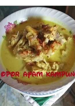 Opor ayam kampung