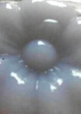 Nutrijel anggur