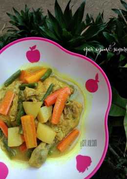 Opor ayam&sayuran