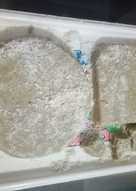 Geplak (kue khas betawi)