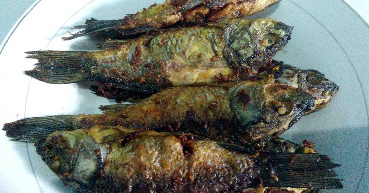 72 resep olahan ikan mas  goreng enak dan sederhana Cookpad