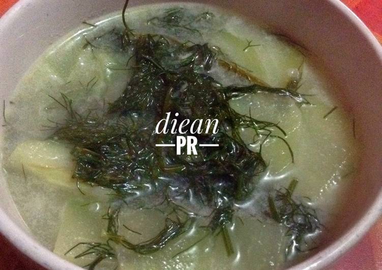 2000 Gambar Daun Adas HD Paling Keren 2000 Gambar Daun Adas HD Paling Keren