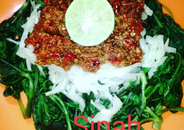 resep lengkap untuk Plecing Kangkung Endeeeeesss Surendeessss ala Bunda Sipah (Princess Lioness)