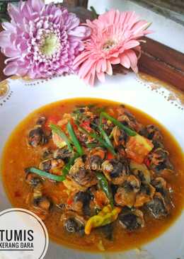 Kerang Dara Saus Padang