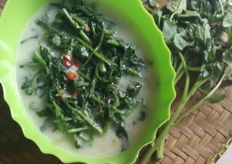 resep makanan Lodeh jembak (selada air)